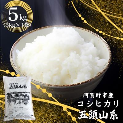ふるさと納税 阿賀野市 【令和7年産】コシヒカリ5kg「米屋のこだわり阿賀野市産」
