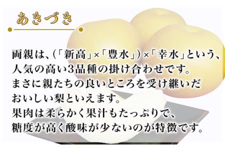 【先行予約】茨城県産「あきづき」約5kg【2024年8月下旬～9月中旬にかけて発送予定】