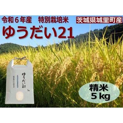 令和6年産【R5 いばらき米の極み頂上コンテスト受賞】特別栽培米「ゆうだい21」精米5kg【配送不可地域：離島】【1557705】