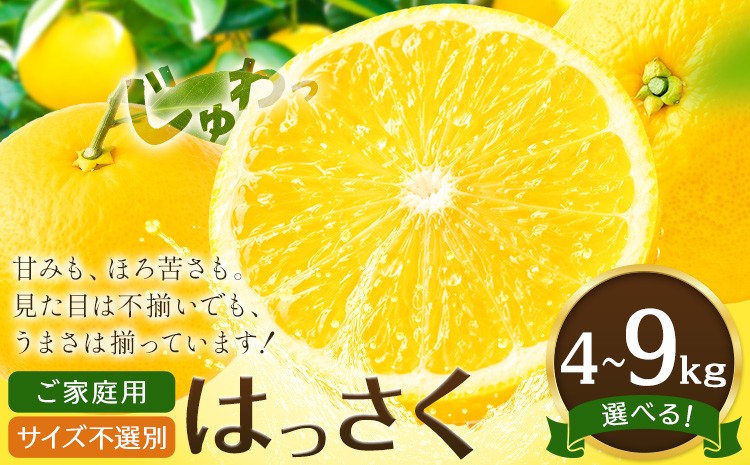 
                  八朔 はっさく ご家庭用 サイズ不選別 選べる 4kg 9kg《2月上旬-2月下旬頃出荷》八朔 柑橘 果物 フルーツ 訳あり 規格外 傷あり 徳島県 美馬市 送料無料
                