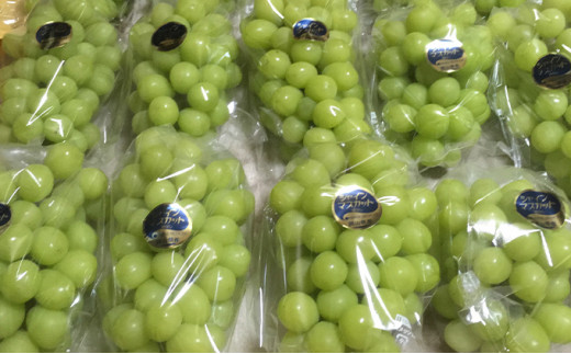 [№5615-0217]シャインマスカット 1房 600g前後 葡萄 フルーツ 岡山 高梁市産 ぜきお農園 ぶどうclub 2025年 先行予約