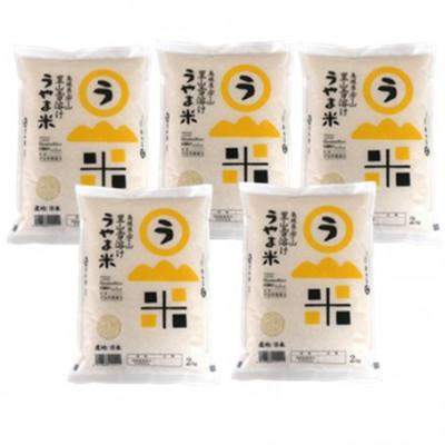 ふるさと納税 雲南市 【毎月定期便】【無洗米】神話の里/吉田町「うやま米」コシヒカリ 10kg(2kg×5)全3回 |  | 01