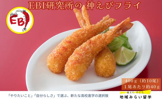 
                  【EBI研究所】EBI研究所の神エビフライ400g
                