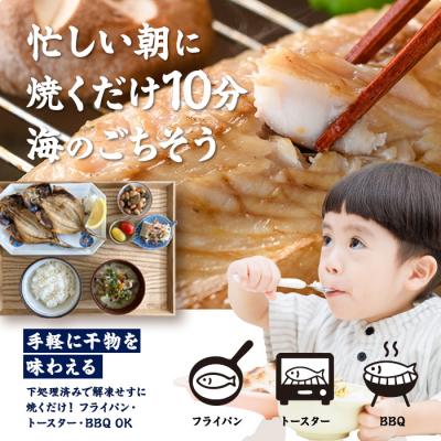 ふるさと納税 佐伯市 【期間限定・さば切り身2切付】<定期便・全12回 (毎月)>訳あり 干物大満足BOX (40尾以上) |  | 02