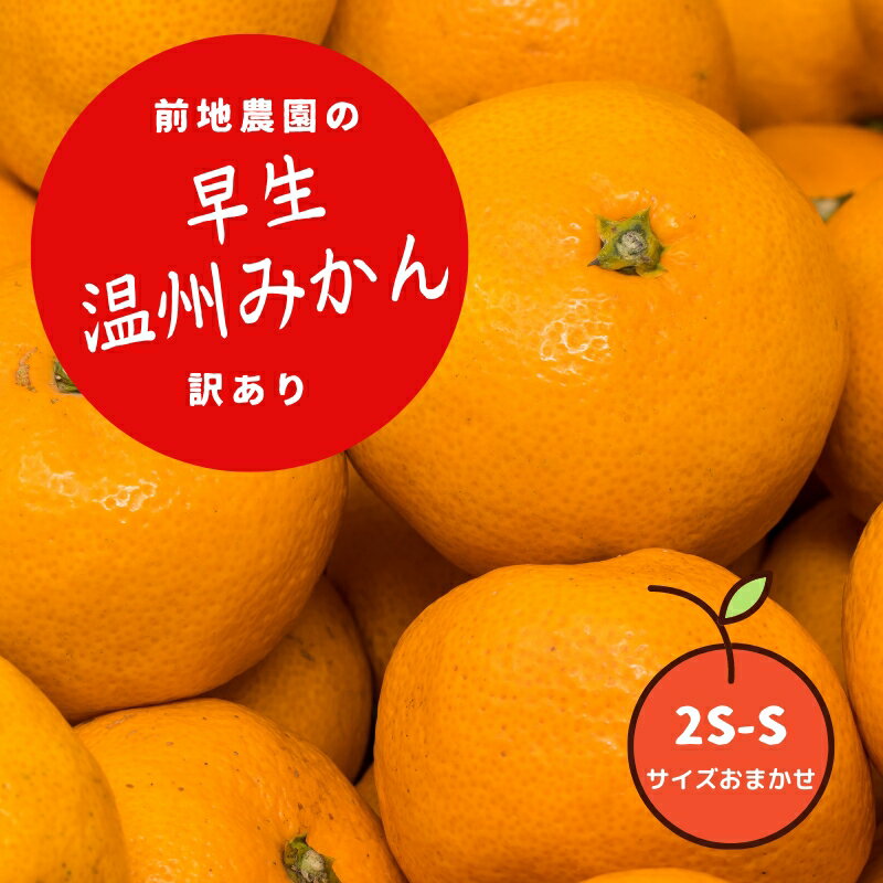 【ふるさと納税】 ご家庭用 訳あり 前地農園の 早生温州みかん 7kg 2S-S サイズおまかせ 【2025年12月初旬から12月中旬までに順次発送】 わけあり ワケアリ 家庭用 みかん ミカン 蜜柑 フルーツ 果物 くだもの 早生 温州 数量限定 産地直送 送料無料