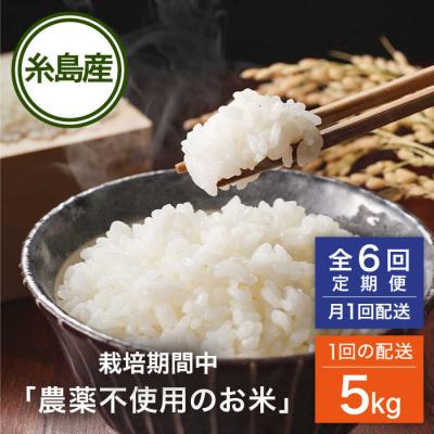 ふるさと納税 糸島市 【全6回(月1回)定期便】 栽培期間中 農薬不使用のお米 ヒノヒカリ 5kg [AHC042]