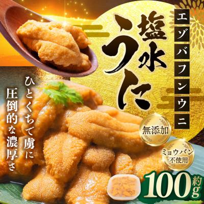 ふるさと納税 釧路市 【6月中旬(予定)〜9月発送不可】【特選】 塩水ウニ100g(エゾバフンウニ) うに 雲丹