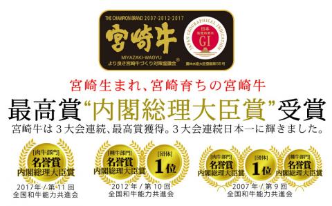 宮崎牛 スネ ブロック 800g【肉 牛肉 国産 黒毛和牛 肉質等級4等級以上 4等級 5等級 すね肉 煮込み スープ】G7407