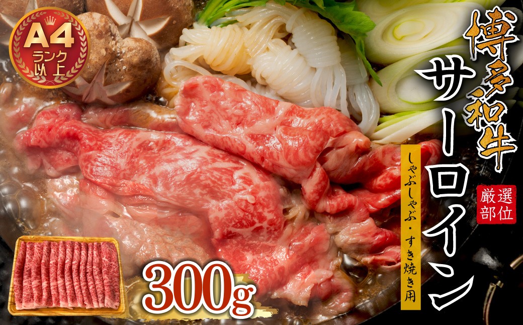 
【厳選部位】博多和牛サーロインしゃぶしゃぶすき焼き用 300g Y14-S
