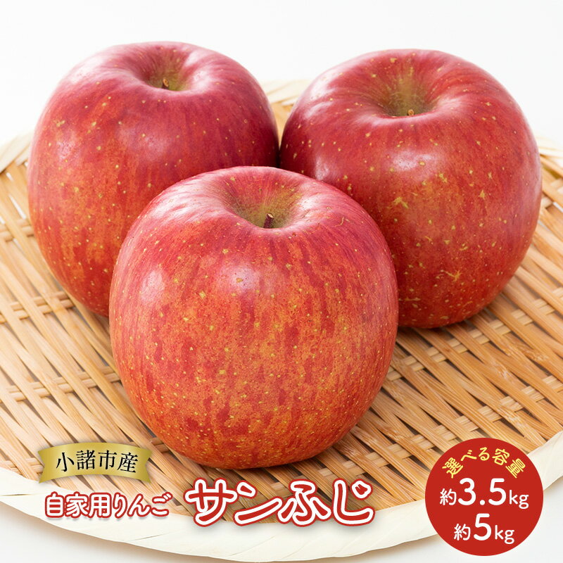 【ふるさと納税】りんご 自家用りんご サンふじ 選べる容量 (約3.5kg～約5kg) 信州りんご リンゴ 林檎 果物 くだもの フルーツ 信州 長野　お届け：2025年12月上旬～2026年1月中旬