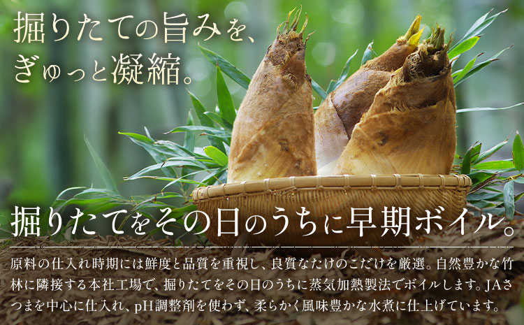 訳あり たけのこ水煮 切り落としタイプ 計約1.6kg(約200g×8袋) 北薩農産加工場《30日以内に出荷予定(土日祝除く)》鹿児島県 たけのこ 筍 水煮 使いやすい 定期便 春 旬 料理 調理