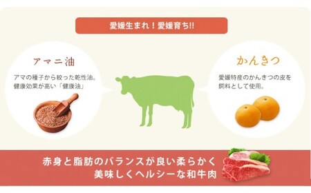 愛媛あかね和牛 焼肉用 赤身 ウデ モモ（約800g）国産 和牛 牛肉 バーベキュー 肉 お肉 【えひめの町（超）推し！（松前町）】（746）