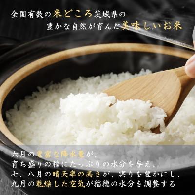ふるさと納税 つくばみらい市 【 令和8年産 新米 】 コシヒカリ 5kg 精米 茨城県つくばみらい市産 |  | 01