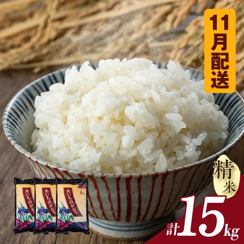 【令和８年産 先行予約】あいちのかおり（精米）15kg（11月発送）（3579）