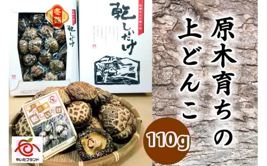 
肉厚・厳選！原木育ちの上どんこ110g｜栃木県 矢板市 しいたけ 椎茸 産地直送 [0332]
