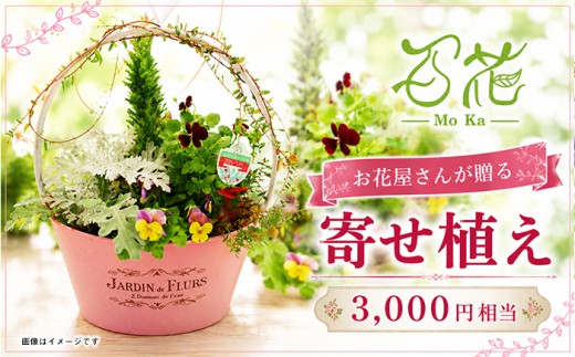 滝沢市のお花屋さん 百花-MoKa- オリジナル 寄せ植え 3000円相当 ／ 花ギフト フラワーギフト フラワー 花 お花 HANA 観葉植物 アレンジ インテリア ガーデニング プレゼント ギフト 贈り物 贈答用 お祝い 父の日 母の日 誕生日 人気 おすすめ