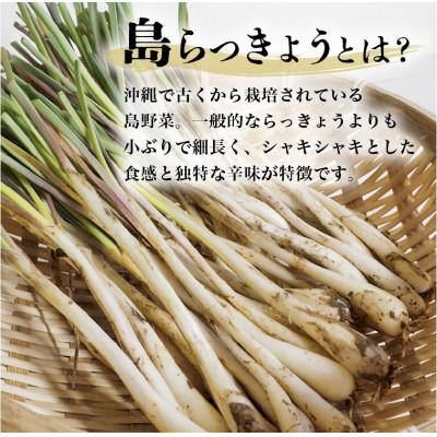 ふるさと納税 糸満市 【畑人市場】 土付き 生 島らっきょう 約5kg |  | 01