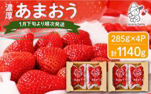 先行予約【2026年1月下旬～4月中旬発送】ココロファームの 濃厚あまおう 285g × 4P 約1,140g 《豊前市》 苺 いちご あまおう 福岡県産【※北海度・沖縄および離島への配送不可】[VAE022]