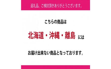 [HS]ぶどう 2025年 先行予約 9月・10月発送 シャイン マスカット 晴王 1房 約700g ブドウ 葡萄  岡山県産 国産 フルーツ 果物 ギフト