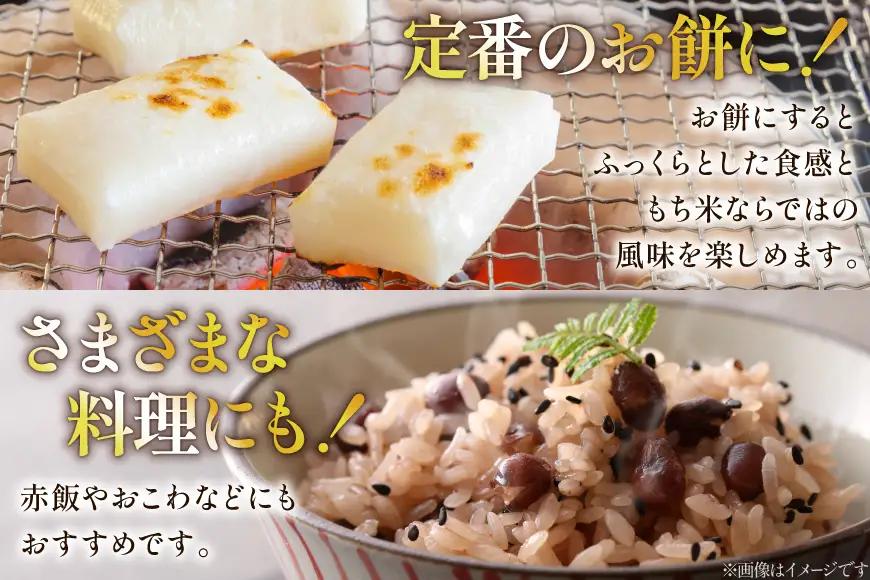 米 もち米 新米 令和8年産 北海道産 はくちょうもち 5kg