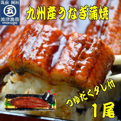 九州産うなぎ蒲焼1尾 秘伝つゆだくタレ付 老舗鮮魚店の味(岡垣町)【配送不可地域：離島】【1530852】