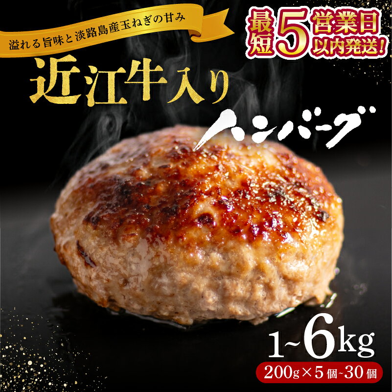 【ふるさと納税】 ＼総合1位獲得／ 近江牛 入り ハンバーグ 6kg 3kg 2kg 1kg 淡路島産 玉ねぎ 近江牛 使用 合挽き 近江牛 200g/30個15個10個5個 選べる容量 個包装 和牛 牛肉 冷凍 黒毛和牛 豚肉 ポーク ランキング 日本三大和牛 滋賀県 竜王町