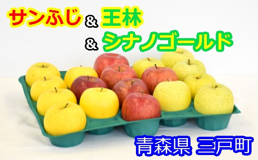 
りんご【サンふじ＆王林＆シナノゴールド】セット（約5kg）【2024年産・先行予約】
