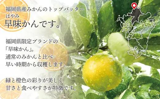 【2026年9月中旬より順次発送】JAむなかたブランドみかん（早味かん）約5kg[H2281]