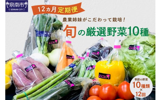 農業姉妹がこだわって栽培！旬の厳選野菜10種 1年定期便【024A-021】