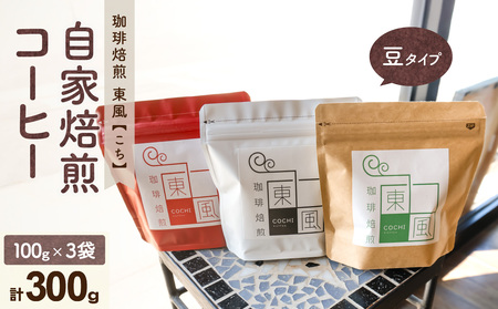 自家焙煎　東風コーヒー豆100g×3点セット