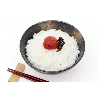 ふるさと納税 かつらぎ町 【梅干・梅酒用】(2LまたはL-約2kg)熟南高梅《2025年6月中旬〜7月上旬発送予定》　 |  | 01