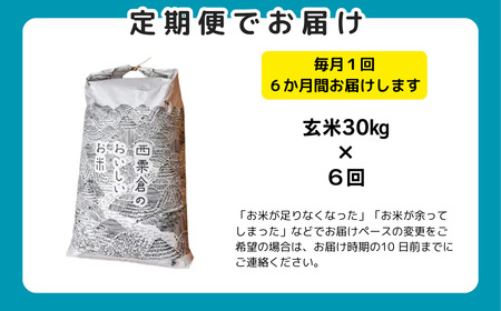 【令和8年産新米・先行予約】【6回定期便】あわくら源流米 コシヒカリ 玄米 30kg｜西粟倉村産・昼夜寒暖差が育む甘み｜ふるさと納税 K-ad-CFZA
