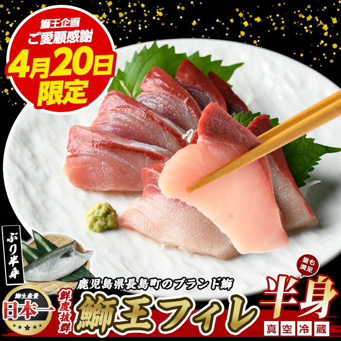 【ふるさと納税】【4/20限定 ご愛顧感謝寄付金額 「新物 鰤王」14000円→12000円 】【高評価 4.79】【選べる「鰤王」「新物 鰤王」】テレビで紹介ぶりの王様「 鰤王 」 フィレ 1枚 切り身 冷蔵 真空パック ふるさと納税 ぶり 刺身 切り身 鰤 たたき 【JFA】jfa-1483