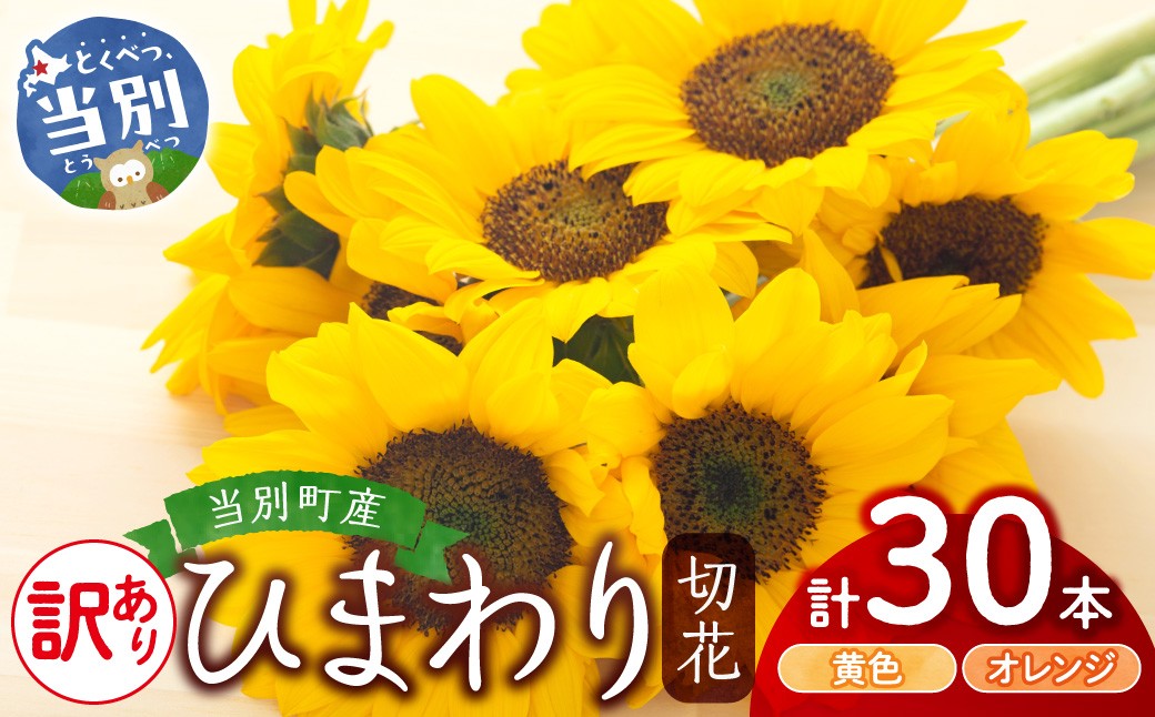 
                  【訳あり】ひまわり 切花 30本 黄色 オレンジ 四季農場《6月上旬-9月下旬頃出荷》北海道 当別町 花 お花 はな ひまわり 夏 切り花 冷蔵便 北海道産 当別町産 インテリア
                
