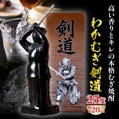 ふるさと納税 高千穂町 【麦焼酎】くせがなくマイルドな味わい わかむぎ剣道 720ml 25度 剣道ボトル
