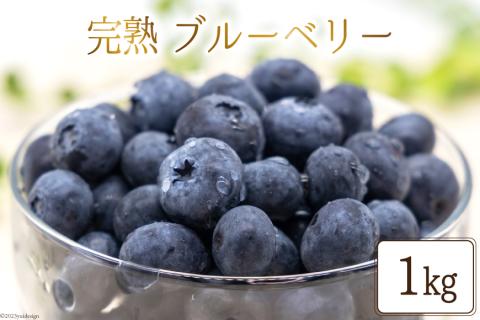 完熟 ブルーベリー 生果実 1kg [三谷果樹園 北海道 砂川市 [12260532] 果物 フルーツ 国産