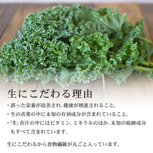 【12回定期便】 りんご青汁2.8kg【生】冷凍 | 100g✕28パック 生青汁 国産青汁 ケール100％青汁 青汁セット 大豆青汁