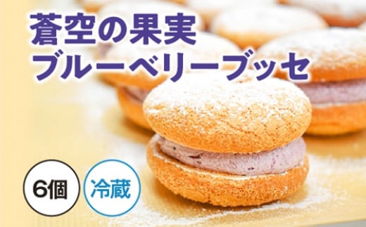 
            （冷蔵）蒼空の果実　ブルーベリーブッセ／西金商店　スイーツ　濃厚　果肉　マイルドリッチ　三重県　度会町
          