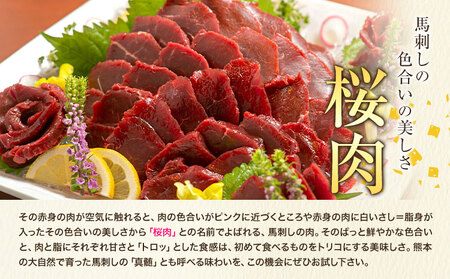 【6ヶ月定期便】国産赤身馬刺し 約560g 馬刺しのたれ付き 千興ファーム 馬肉 冷凍 《申込みの翌月から発送》 新鮮 さばきたて 真空パック SQF ミシュラン 生食用 肉 菅乃屋 熊本県御船町 特