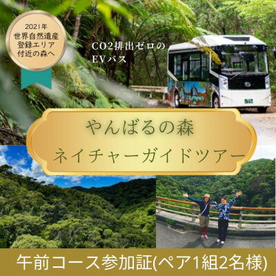 【ふるさと納税】【一ヶ月前予約必須】やんばるの森ネイチャーガイドEVバスツアー 平日午前コース(ペア1組2名様分)【1606954】