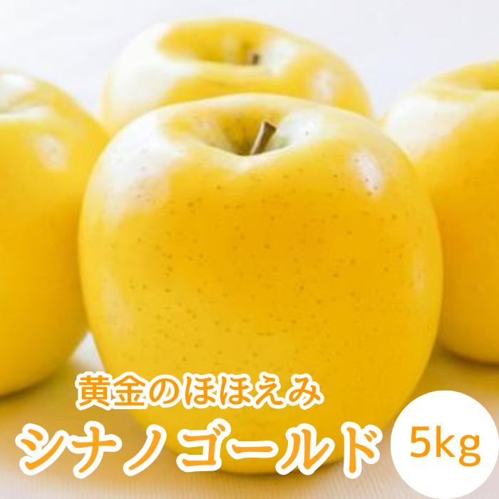 【ふるさと納税】【南信州高森産】黄金のほほえみシナノゴールド5kg 秀＜10月下旬発送＞