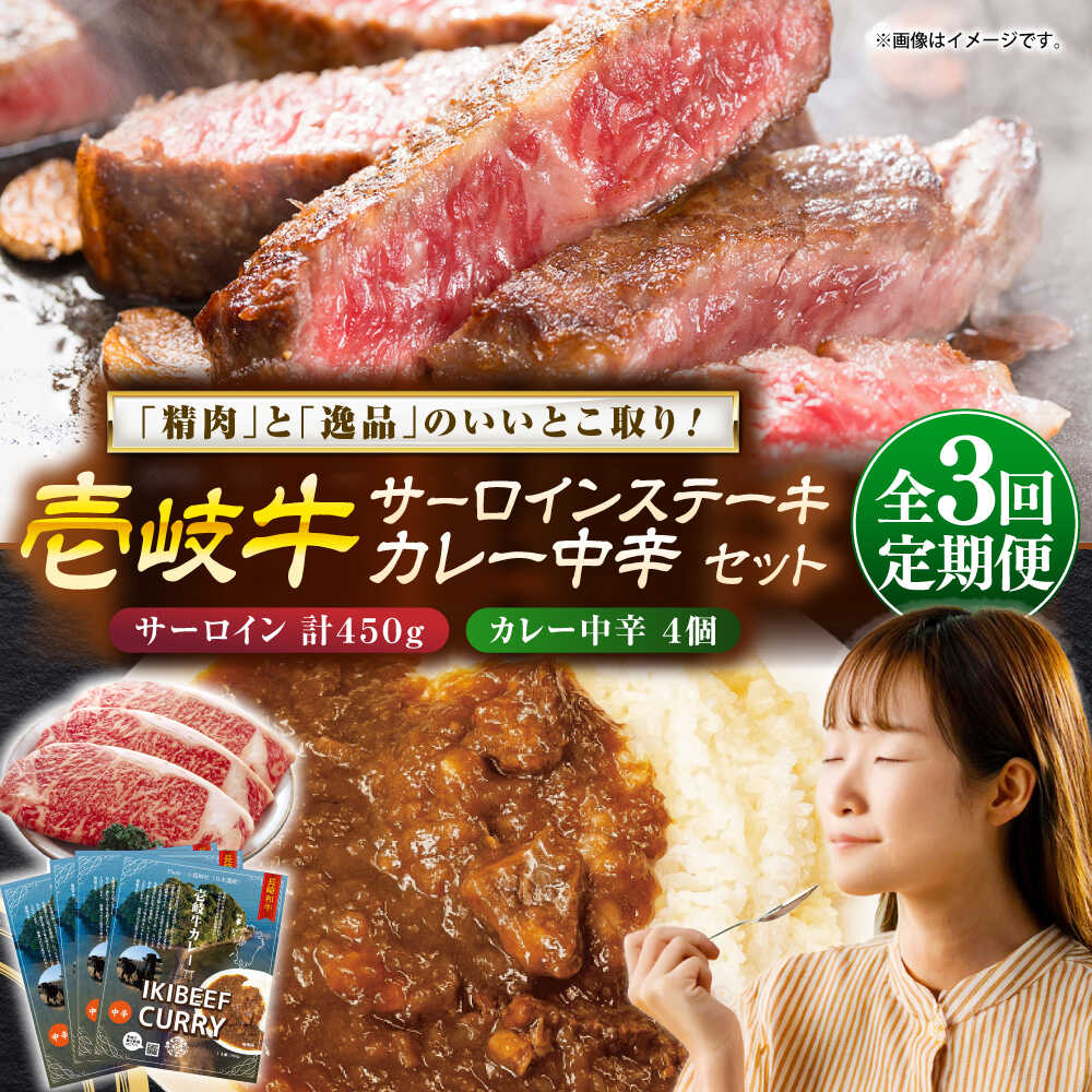 【ふるさと納税】【全3回定期便】壱岐牛サーロインステーキ＆壱岐牛カレー中辛セット《壱岐市》【壱岐フードファクトリー】[JDW119] カレー レトルト パウチ サーロイン ステーキ 肉 牛肉 国産 和牛 壱岐牛 定期便