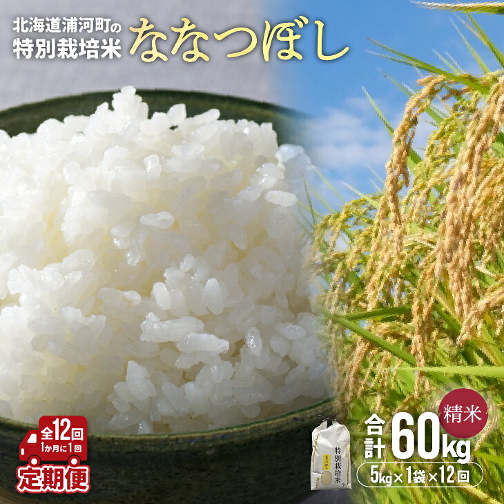【ふるさと納税】【先行受付開始！】北海道浦河町の特別栽培米「ななつぼし」精米(5kg×1袋)定期便(全12回)[37-1221] 北海道 浦河 ふるさと納税 ななつぼし 令和6年度 米 精米 定期便 送料無料