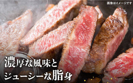 【全国有数のブランド牛】＜全12回定期便＞佐賀牛サーロインステーキ 300ｇ【がばいフーズ】A5ランク 佐賀牛 牛肉[HCS055]