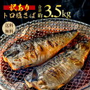 【ふるさと納税】 訳あり トロ 塩さば 3.5kg 大盛り 千葉 銚子 塩鯖 おかず おつまみ 酒 あて 海鮮 魚 飯田商店 ※北海道、沖縄、離島への配送不可