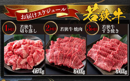 【肉の定期便×6回コース】肉好き大集合！若狭牛 食べ比べ 定期便！【福井のブランド牛肉】【4等級以上】