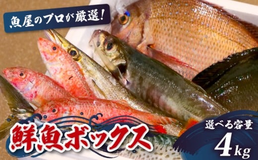 【魚屋のプロが厳選！】 鮮魚 BOX 4kg 4kg