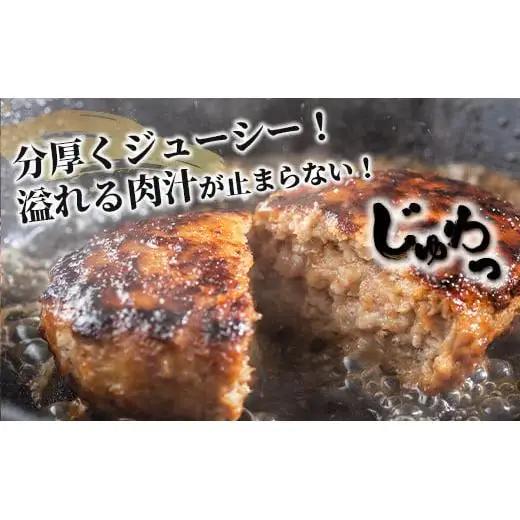 石垣牛 ハンバーグ 100g10個
