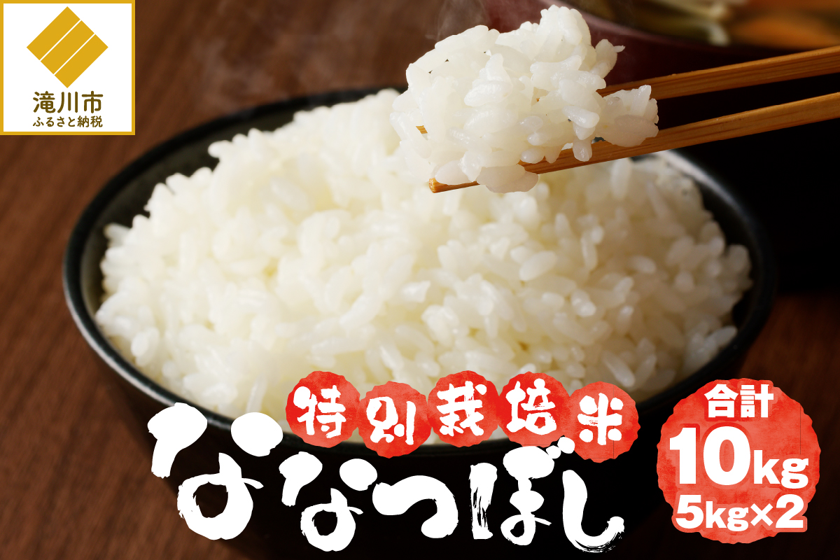 【入金確認後、最短7日発送】令和6年産米 北海道滝川産 特別栽培ななつぼし 10kg(5kg×2袋) ※10月中旬・新米からお届け｜北海道 滝川市 米 お米 白米 ご飯 ナナツボシ ななつぼし 新米