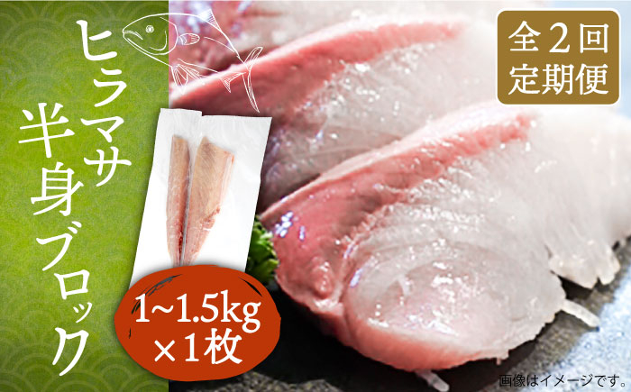 
            【全2回定期便】ヒラマサフィレ 約1〜1.5kg（半身）《壱岐市》【なかはら】[JDT070] ヒラマサ フィレ 柵 刺身 刺身ブロック 刺し身 切身 冷凍 海鮮 海鮮丼 54000 54000円 冷凍配送
          